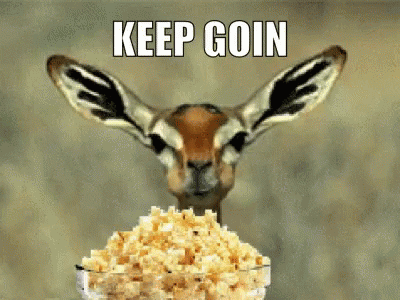 Deer chilling and eating popcorn