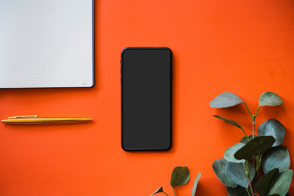 Smartphone with a softphone installed